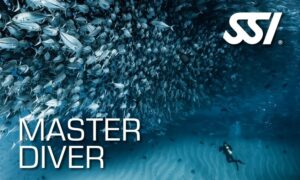 Master Diver