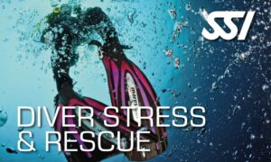 Diver Stress & Rescue