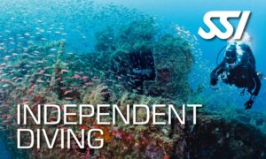 SSI Independent Diving Course at Tank'd Pro Dive Utila, Honduras The only SSI Diamond Instructor Training Center on Utila