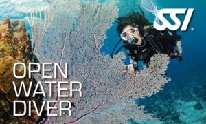 Open Water Diver