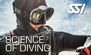 SSI Science of Diving Course at Tank'd Pro Dive Utila, Honduras The only SSI Diamond Instructor Training Center on Utila