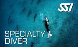 Specialty Diver