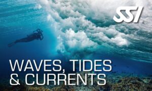 SSI Waves, Tides & Currents Course at Tank'd Pro Dive Utila, Honduras The only SSI Diamond Instructor Training Center on Utila